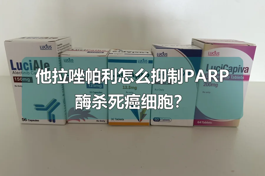 他拉唑帕利怎么抑制PARP酶杀死癌细胞？